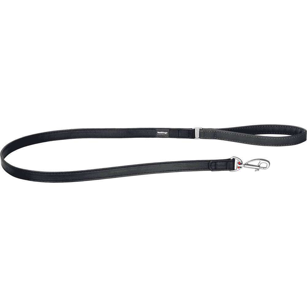 Elegant Black leashes