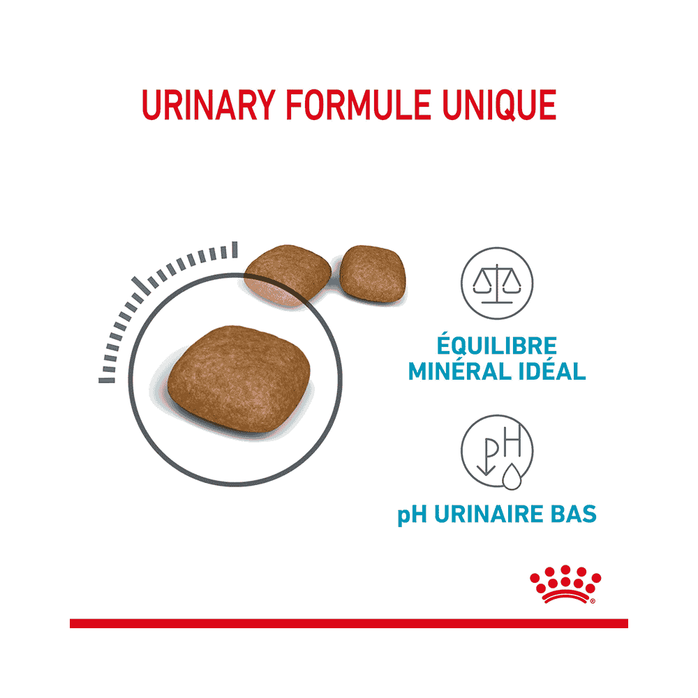 Urinary Care Cat