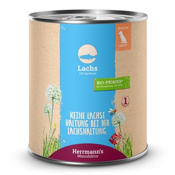 Selection Lachs mit Aprikose
