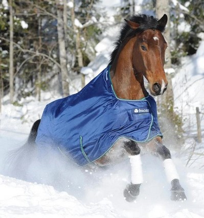 Couverture d'hiver Smartex Extra Classic 300 g - bleu