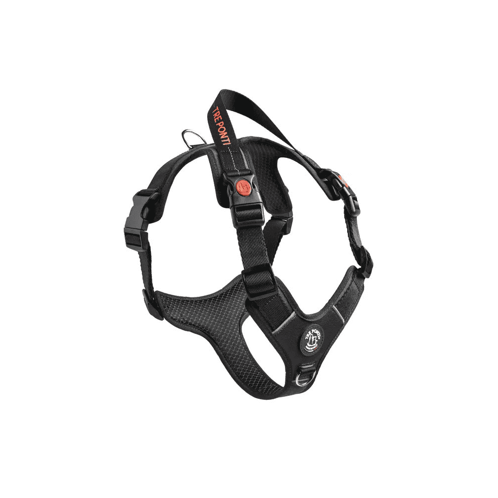 Harness Harmonia Black