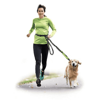Joggingleine mit Gürtel