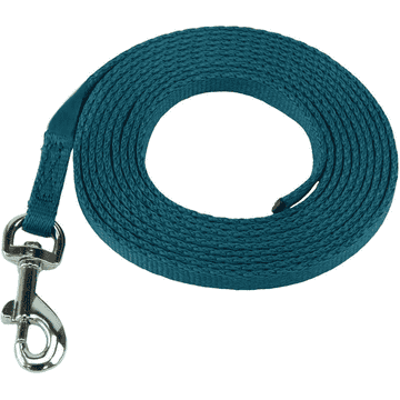 Puppy house training leash