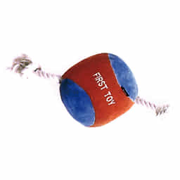 Puppy jouet balle