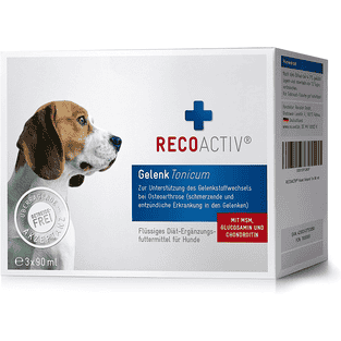 Tonicum pour les articulations des chiens