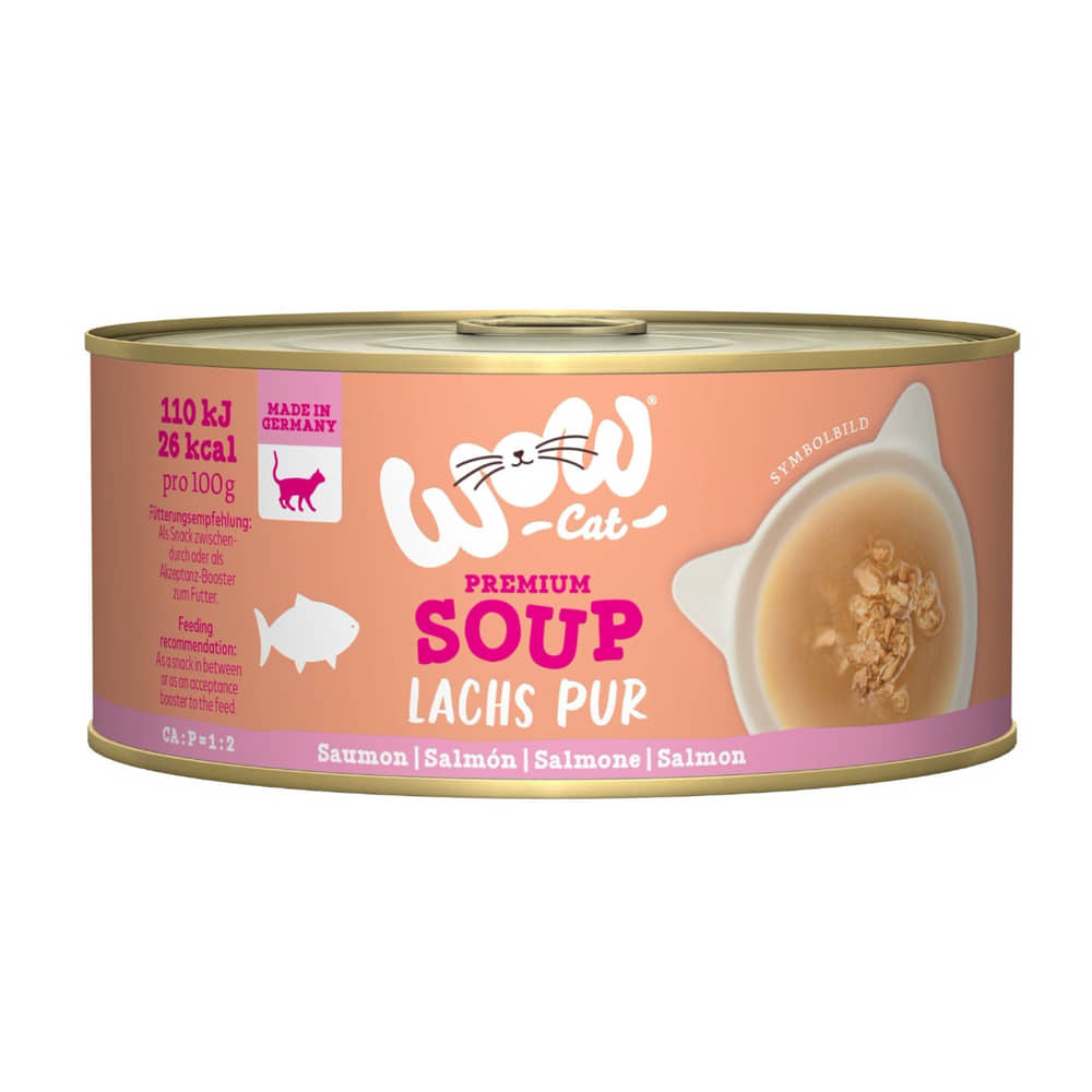 Pure salmon soup