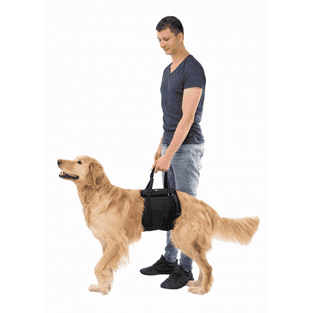 Aide au levage