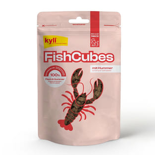FishCubes mit Hummer
