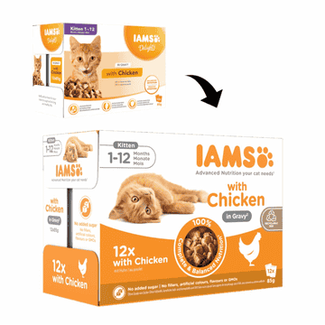 Kitten Advanced Poulet en sauce