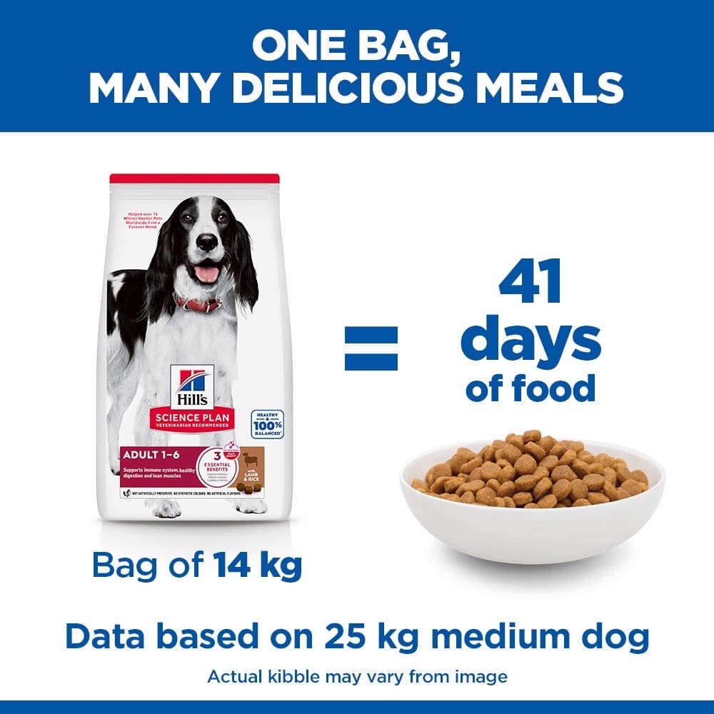 Canine Adult Medium Breed Lamb & Rice