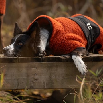 Manteau en laine Hybrido orange brûlé