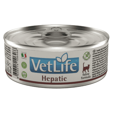 Feline Adult Hepatic