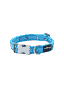 Halsband Design Bumble Bee Turquoise