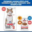 Feline Sterilised Cat Salmon - Frischebeutel