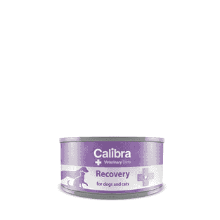 Canine/Feline Recovery