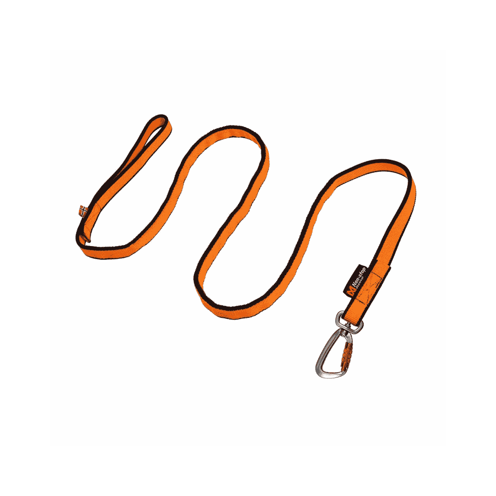 Bungee Leash Black/Orange