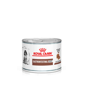 Gastrointestinal Puppy Ultra Soft Mousse - Boîte