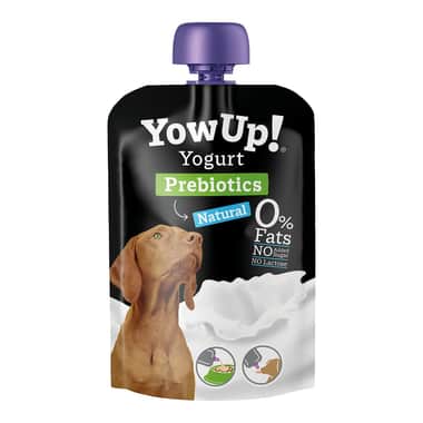 Dog Yogurt Natural