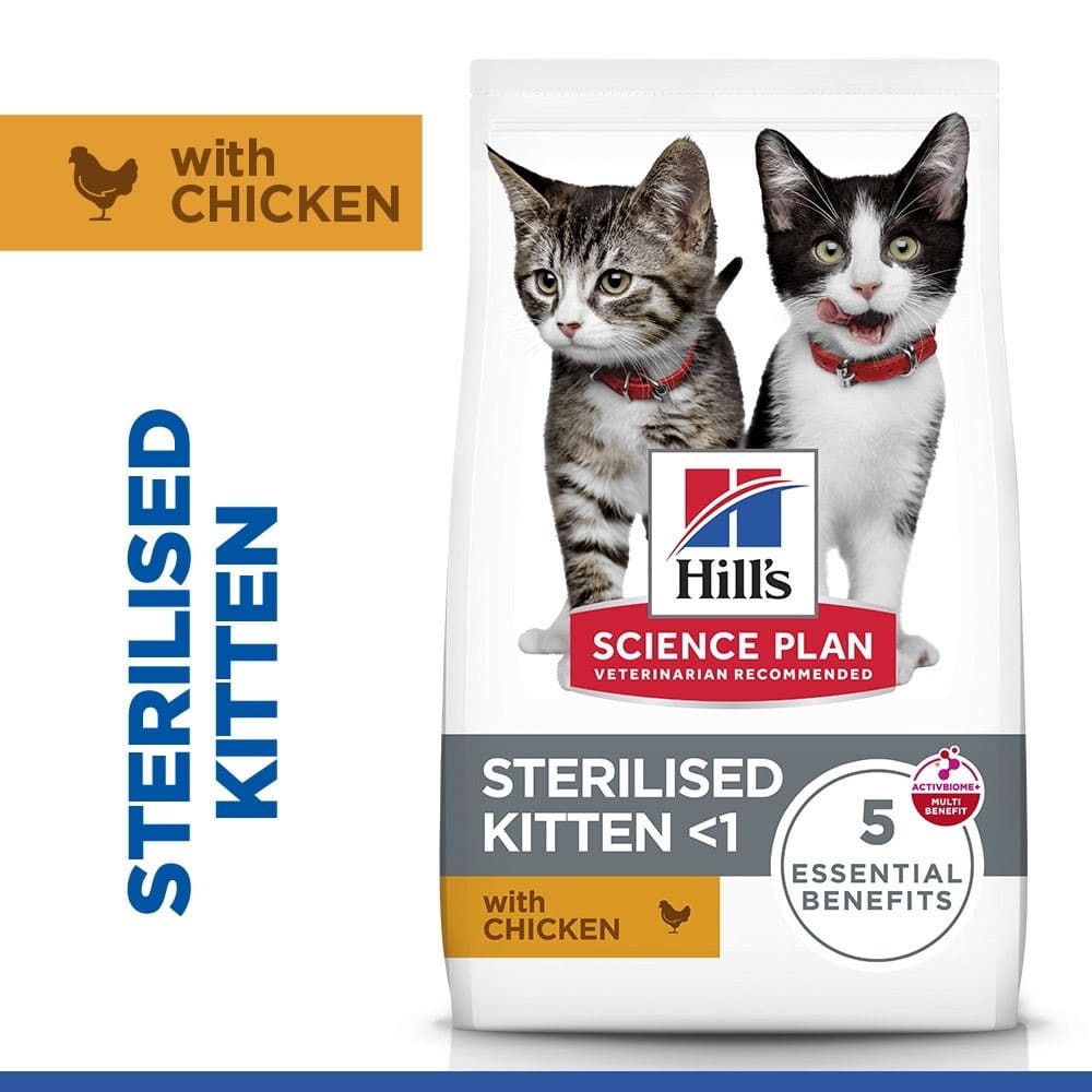Kitten Sterilized