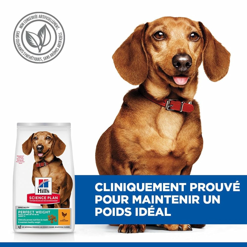 Canine Adult Perfect Weight Mini Breed