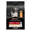 MEDIUM ADULT Everyday Nutrition