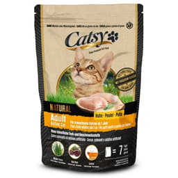 Adult Active Cat