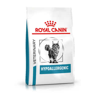 Hypoallergenic Cat