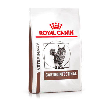Gastrointestinal Cat
