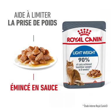 Light Weight Care Gravy - Sachet