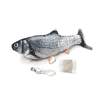Fish-Dancer Karpfen