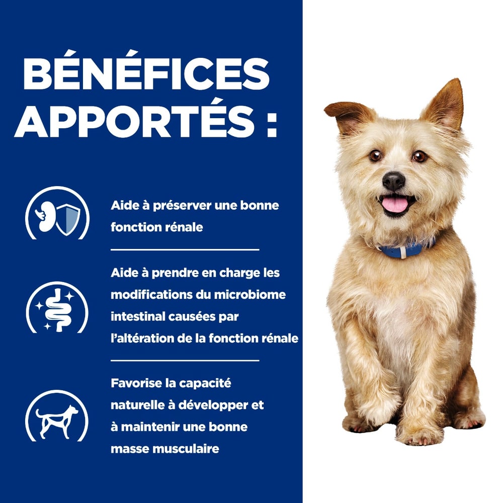 Canine k/d Kidney Care Original - Boîte