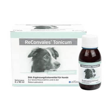 Reconvales Tonicum Hund