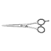 Ciseaux de coiffeur Silver Ice