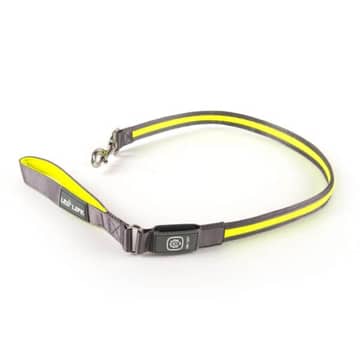 Light-Leash