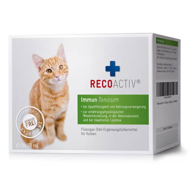 Immun Tonicum für Katzen