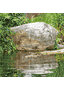 Schwimmender Krokodilkopf