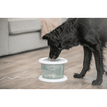 Distributeur automatique d'eau Bubble Stream