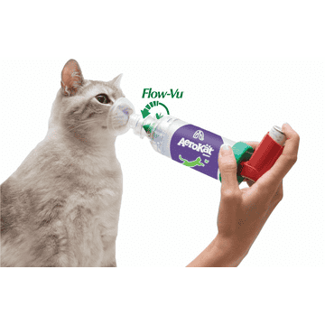 Inhalateur pour chats