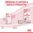 Babycat Milk