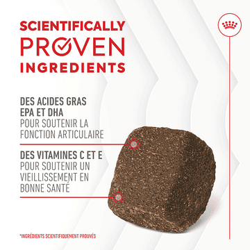 Joint & Ageing Chews Adult Supplements