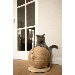 Kratzball Balty