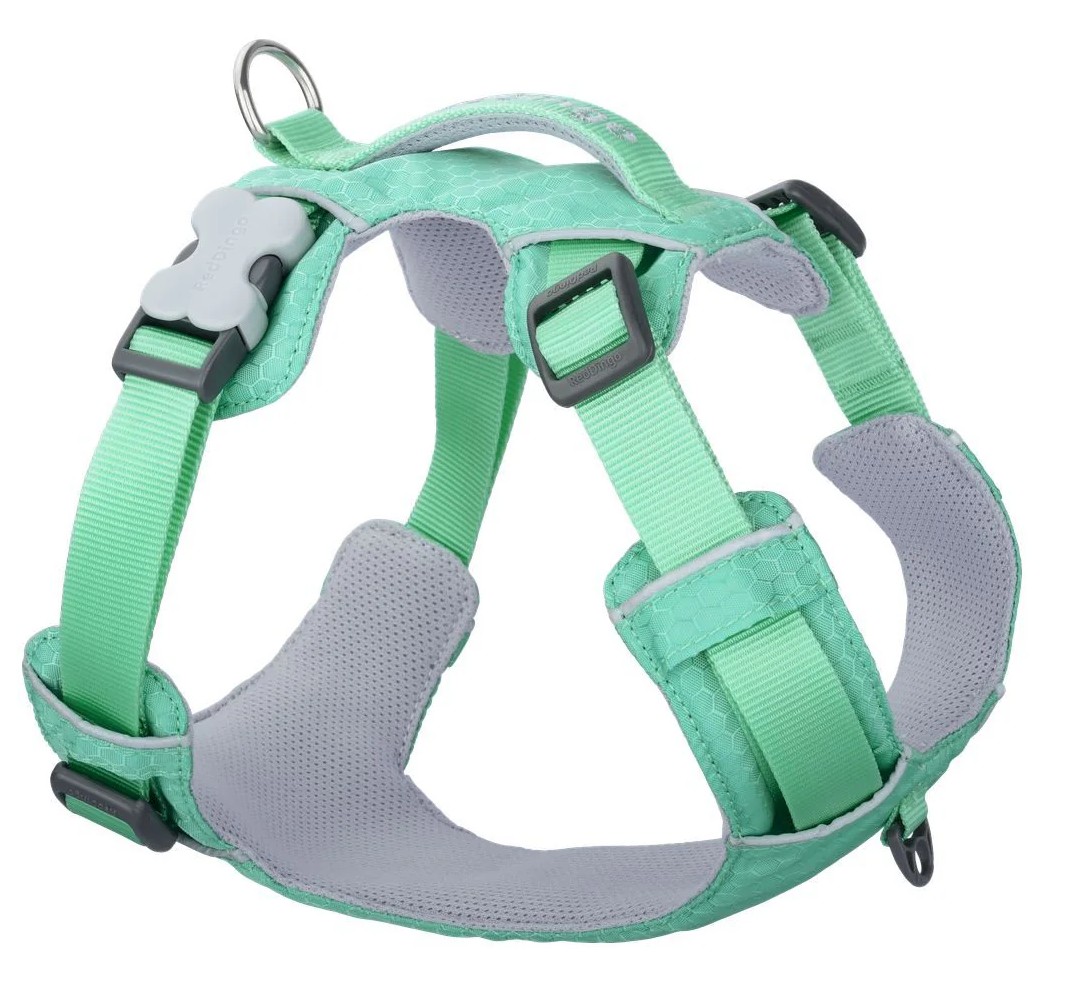 Dog Harness Sport grün