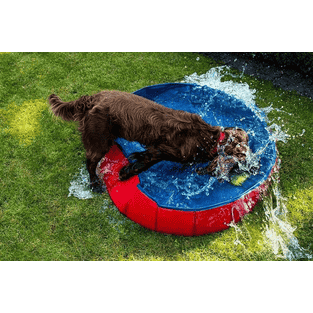 Dog Pool