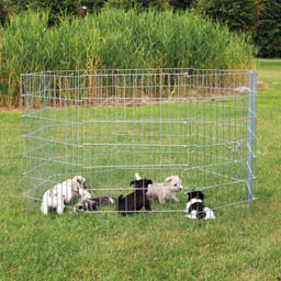 Enclos pour petits chiens/chiots