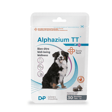 Alphazium TT