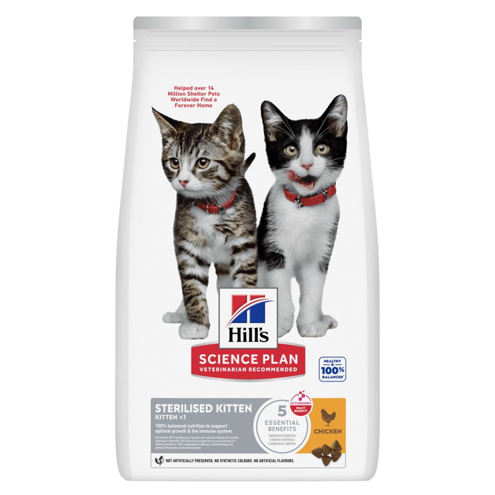Kitten Sterilised