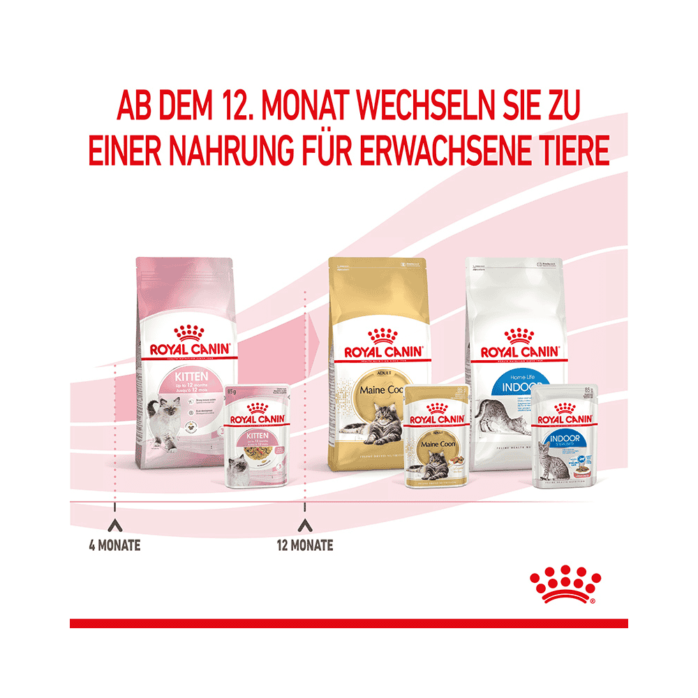 Kitten in Gelée - Frischebeutel