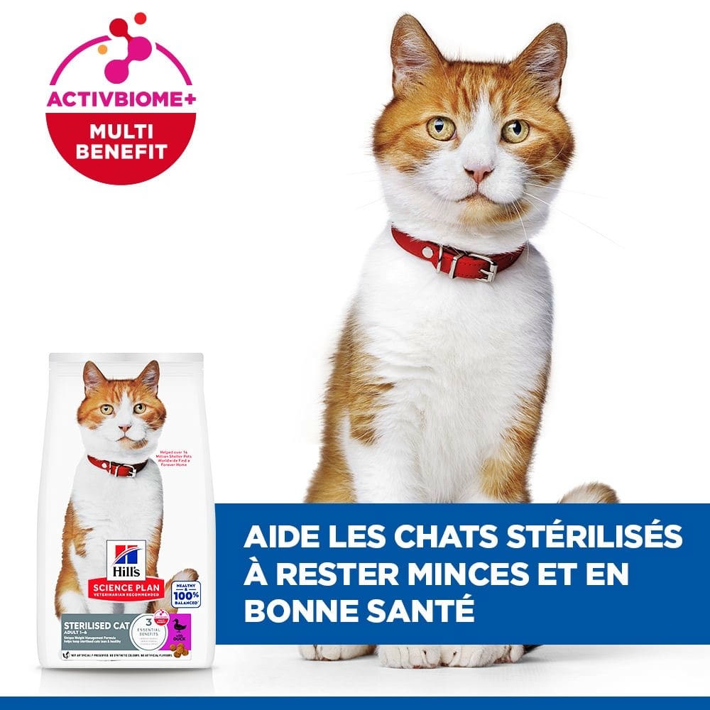 Feline Sterilised Cat Duck