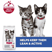 Kitten Sterilized