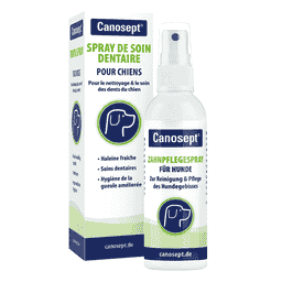 Zahnpflegespray